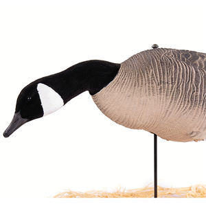 เหยื่อล่อเป็ดจำลองแบบลอยน้ำ ทำจากวัสดุ EVA ทนทาน กันน้ำ เป็นมิตรกับสิ่งแวดล้อม สำหรับการล่าเป็ด - Product Image 3