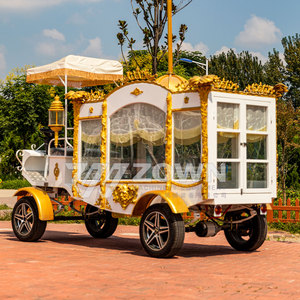 ZOWN Индивидуальный новый электрический ритуальный катафалк, ритуальные принадлежности, ритуальный катафалк с лошадиной тягой, специальный транспортный фургон - Product Image 6