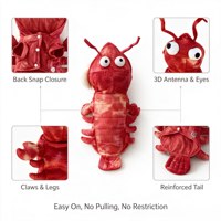 Costume de Homard Rouge 3D Amusant pour Animaux de Compagnie, Tenue de Fête d'Halloween pour Chiens et Chats, Vêtements Chauds Doublés Polaire pour Petits et Moyens Chiens et Chats