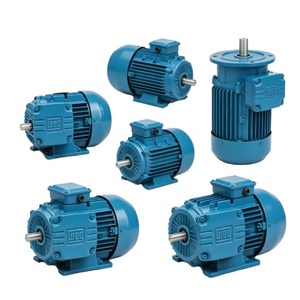 มอเตอร์ Weg W22 แบบป้องกันการระเบิด 400/690V กำลัง 10hp 15hp 20hp 25hp 30hp 40hp มอเตอร์เหนี่ยวนำแบบสามเฟส AC ชนิด Squirrel  ใหม่ 100% - Product Image 2