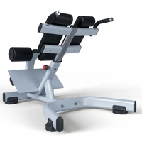 Machine de fitness commerciale VOG, Extension du haut du dos, Hyperextension, chaise romaine réglable