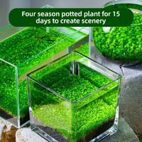 Graines de plantes aquatiques écologiques 1L, substrat sans lavage pour aquarium, hydroponie de bureau, micro-paysage en pot, décoration
