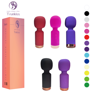 Mini Vibromasseur Féminin pour Adultes, 10 Fréquences de Vibration, Chargement USB à Broche, Bâton Masseur AV pour Clitoris - Product Image 1