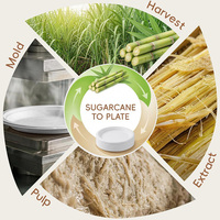 Assiettes Modernes en Bagasse Compostable Grises de 10 Pouces, Robustes et Jetables, Lot de 100 pour Événements et Mariages