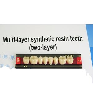 Posterior Acrylic Resin Teeth SND Brand Acrylic Teeth - Product Image 2