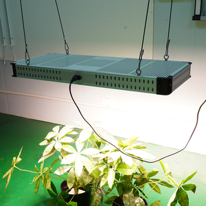 Lampe de culture LED 2000W PG 200W R <span class=keywords><strong>D</strong></span> IP65 Aluminium 3500K 22000LM 150 250 PPFD 110 240V Intérieur - Product Image 1
