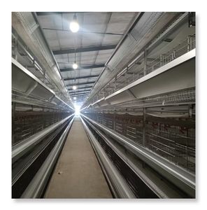 Tavuk döşeme için otomatik katman kafes kullanılan kanatlı pil tavuk kümesi satılık kuş kafesleri üzerinde en iyi fiyat - Product Image 3
