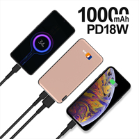 OEM ODM Batteries externes ultra-minces 10000 mAh pour smartphones, haute capacité, sortie 20W, USB, LED, câblées, Type-C, 9V, Li-Polymère