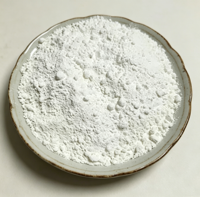 Pigmen Anatase Titanium Dioksida TiO2 Kelas Industri Kemurnian 97% Merek BANGZE Cat Tembok Interior Kecerahan Tinggi Grosir