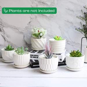 Pots de fleurs cylindriques en céramique écologiques MDJ de 4 pouces avec soucoupe intégrée, lot de 6 blancs pour plantes succulentes et plantes serpentines - Product Image 4