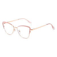 Vente flash - Lunettes anti-lumière bleue pour femmes de haute qualité avec imprimé animal, monture transparente en acier inoxydable