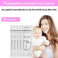 5 pièces coussinets de soins post-partum jetables absorbants packs de thérapie par la chaleur/le froid instantanés avec coussin de maternité de sac de glace périnéale en un