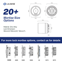 Liliwise Tuya Ttlock Matter Serrure de Porte Intelligente Wi-Fi Digitale Go Serrures Intelligentes Euro Retrofit Serrure de Porte Électronique