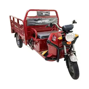 دراجة ثلاثية العجلات ذات المحرك الكهربائي Tiga de carga roda بمحرك بدون فرشاة بقوة 500 سي سي
