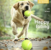 Balles de tennis colorées haute visibilité, résistantes aux morsures, hautement élastiques et durables, balles d'entraînement pour chiens pour terrains durs, en terre battue et en gazon