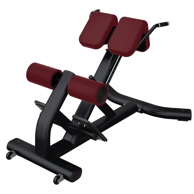 popular commercial strength gym equipment roman chair back extension machine