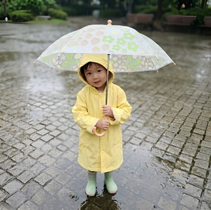 <span class=keywords><strong>Parapluie</strong></span> droit transparent à 8 baleines pour enfants, style frais et mignon, imprimé, idéal pour la rentrée scolaire sous la pluie - Product Image 3