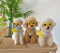 Pet chien maillot de bain costume Bikini pour chien maillot de bain chien vêtements d'été chiot plage maillot de bain Bling animal de compagnie robe d'été Sexy