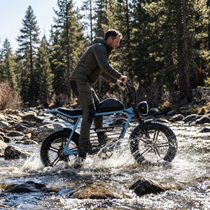 Bicicleta Eléctrica con Llantas Gruesas, Resistente al Agua IP54, Bicicleta Eléctrica Retro para Todo Clima, Ideal para Días Lluviosos, OEM - Product Image 2