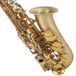 プロの陽極線画完成した管楽器S-40手頃な価格のSax ProfessionalEb Alto Saxophone with Accessories - Product Image 3