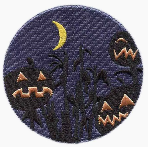 맞춤형 국립 항공 우주국 자수 패치 아이언 온 펠트 패브릭에 <span class=keywords><strong>NASA</strong></span> 엠블럼 - Product Image 4