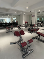 Chaise romaine professionnelle SK-L39 pour hyperextension du bas du dos, idéale pour les acheteurs de centres de fitness, hôtels, studios et clubs sportifs
