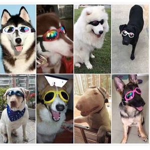 Gafas de moda para perros y mascotas que previenen los rayos UV, gafas de sol para gatos y perros, gafas de sol reflectantes, regalos para perros, accesorios para mascotas al aire libre - Product Image 4