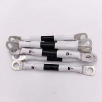 Câble de connexion pour onduleur de batterie SC6-5, cosses en cuivre, faisceau de câbles isolés pour contrôleur de panneau solaire, câble d'alimentation pour UHF PCB FPC