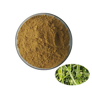 Extracto de Cissus Quadrangularis en Polvo al por Mayor, Natural, de Alta Calidad, 20:1 10:1 - Product Image 1