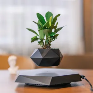 Holz Design Magnetisch schwebende Blumentopf Mode Floating Pot Black Style Bonsai Home Decoration Personal isiertes Geschenk
