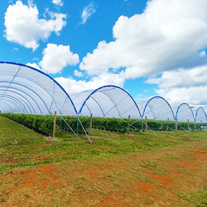 Grande Tunnel per la Protezione delle Colture di Mirtilli, Pesche, Pere e Frutteti in Australia - Product Image 2
