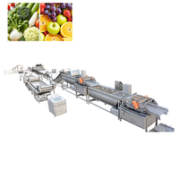Complete automatische fruit- en groenteverwerkingslijn, capaciteit 500, merk Yoursjoys, inclusief wassen, verpakken, commerciële fabriek, turnkey.