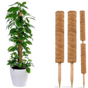 Poste de musgo de 48 pulgadas a granel desde el almacén de EE. UU.-Soportes de fibra de coco, entrega nacional de 3 días Envío gratis - Product Image 3