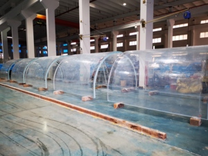 <span class=keywords><strong>Precio</strong></span> de Proyecto de acuario de túnel de vidrio acrílico de fábrica 2024 - Product Image 2