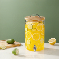 Bouteille en verre borosilicate haute résistance avec bec verseur, grande capacité, pour usage domestique, idéale pour les boissons et les thés aux fruits