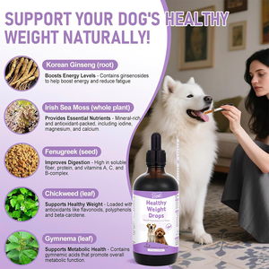 Dukungan kekebalan tubuh anjing tetesan chicweed & Gymnema suplemen gizi dengan dukungan metabolisme energi Organik Mineral - Product Image 2