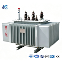 Transformateurs immergés dans l'huile à alliage amorphe 10KV, respectueux de l'environnement, à faible perte et haute capacité de surcharge, 1000kva 2500kva