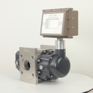 Flowmeter Volumetrik Digital Stainless Steel yang Dapat Disesuaikan, Flowmeter Gas Roots untuk Media Udara, OEM +/-1% Flange - Product Image 3
