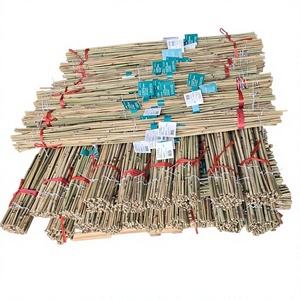 Agricultural Bamboo Stakes Plant Support Sticks Natural Dried Long Lasting Branch Fumigated Vietnam Wholesale Supplier - Product Image 1