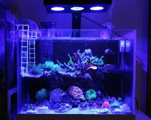 CTLite 30W Koralle-Riff-Licht 20-40cm Rif-Tank Aquarium LED-Licht Marine Aquarium Lampe mit Timer