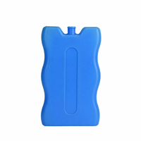 Glacière isotherme portable réutilisable avec logo personnalisé, lot de 12, pour pique-nique, boissons, fruits de mer, médicaments, chaîne du froid