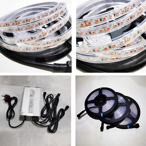 תאורת לד גמישה לגידול צמחים פנימיים, עמידה למים בתקן IP68, בעלת תווי תקן CE ו-Rohs, 10 מטר, מתח DC 12V 24V 48V, 2835, <span class=keywords><strong>3W</strong></span> 5W 12W, ספקטרום מלא. - Product Image 4