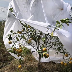 ถุงคลุมปลูกพืชผ้าใยสังเคราะห์รักษาด้วยรังสี UV 30GSM - Product Image 3