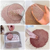 Litière pour chat en bentonite naturelle, agglomération rapide, désodorisante, super absorbante, légère, facile à ramasser, distributeur en gros