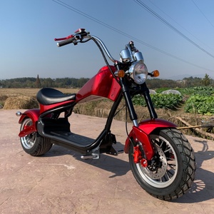 Nouveau modèle de scooter électrique Citycoco 60v du Brésil, 2 roues, pneus larges, moto électrique, vélo électrique pour adultes avec USB - Product Image 3