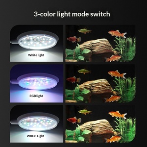 Iluminación LED para Peceras, Alta Reproducción Cromática, Espectro Completo, Elimina Algas, Material ABS, 4.8W, para Peceras Pequeñas, Peces Betta, Guppies - Product Image 3