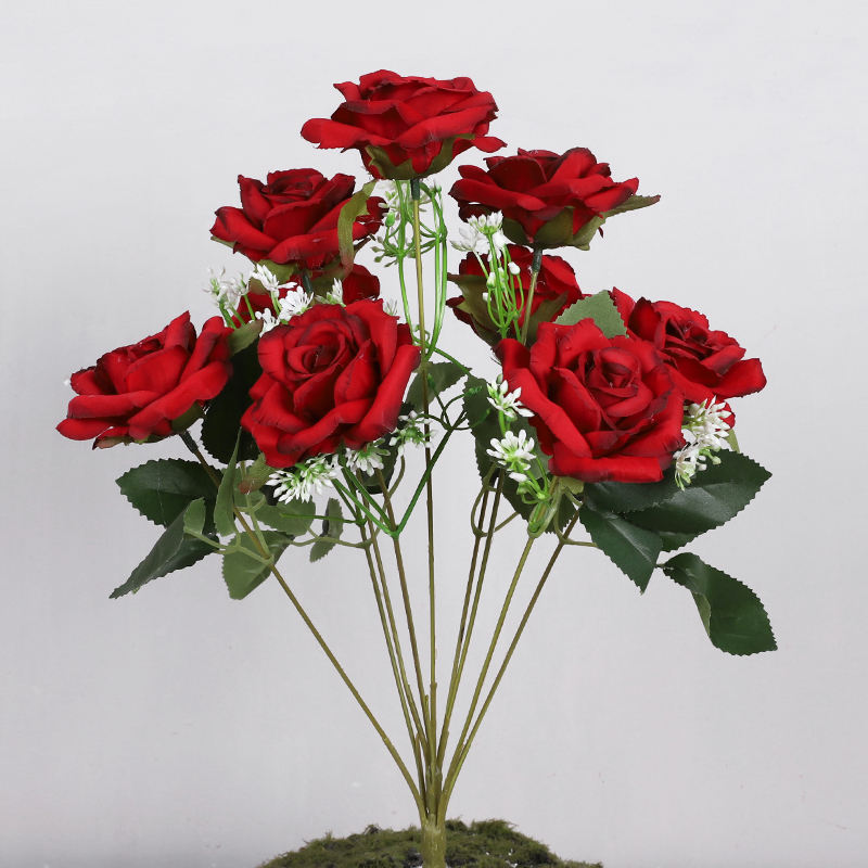 9 หัว, 42 ซม.