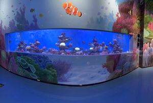 Acryl <span class=keywords><strong>Aquarium</strong></span> <span class=keywords><strong>Aquarium</strong></span> Acryl <span class=keywords><strong>Aquarium</strong></span> Restaurant Goedkope Acryl Aquaria - Product Image 2