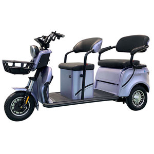 Offerta Speciale: <span class=keywords><strong>Bicicletta</strong></span> Elettrica a <span class=keywords><strong>Tre</strong></span> <span class=keywords><strong>Ruote</strong></span> 48V, Scooter per Mobilità a 2 Posti, Capacità di Carico 400kg, Auto Rickshaw Motorizzato - Product Image 1