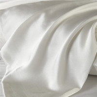 Taie d'oreiller en soie de mûrier 100% naturelle Pure Color 16mm double face 51*66cm douce avec fermeture éclair